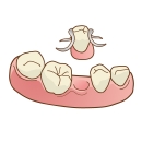 歯を失った場合の治療法　入れ歯
